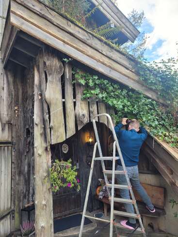 Una persona se encuentra de pie sobre una escalera metálica, fotografiando la vegetación que crece alrededor de una rústica casa de madera con techo inclinado, plantas y un acogedor banco cerca de la entrada.