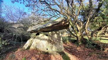 Une grande structure ancienne en pierre se dresse dans une zone boisée, entourée d'un sol recouvert de feuilles et d'arbres tordus, sous un ciel bleu vif baigné de soleil.