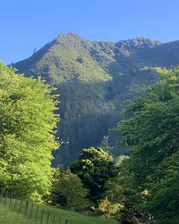 A lush, green mountain rises against a clear blue sky. Vibrant trees frame the scene, sunlight casting shadows on the slopes, creating a peaceful, natural landscape.