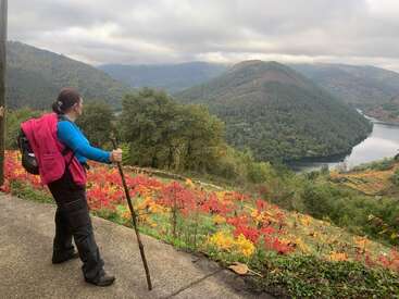 Une femme munie d'un bâton de randonnée s'arrête sur un sentier, surplombant un feuillage d'automne coloré, des collines verdoyantes et une rivière sereine serpentant dans la vallée.