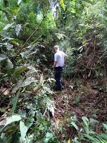 Une personne portant une chemise blanche et un chapeau se tient dans une jungle dense et verte, entourée d'une végétation luxuriante et d'un sous-bois épais, en train d'explorer la nature.