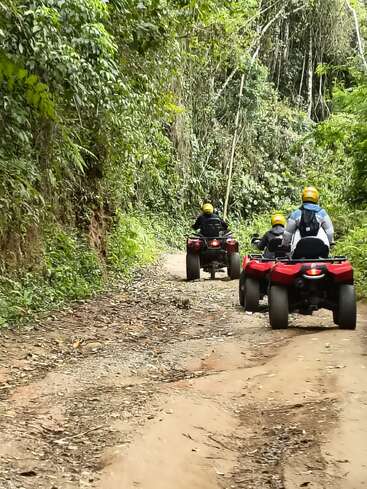 Trois personnes conduisent des VTT rouges sur un chemin de terre entouré d'une forêt verte et luxuriante. Tous portent des casques jaunes et profitent d'un voyage aventureux dans la nature.