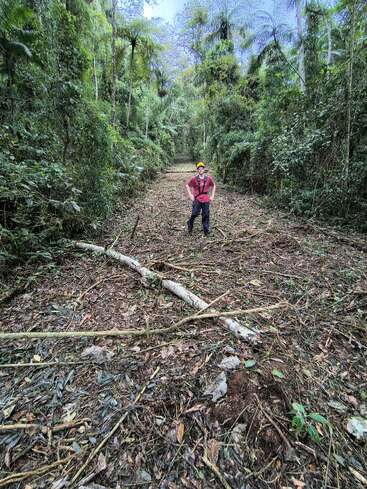 Une personne portant un casque jaune et une chemise rouge se tient avec assurance sur un sentier dégagé dans la jungle, entouré d'un feuillage vert dense et de branches tombées, sous un ciel nuageux.