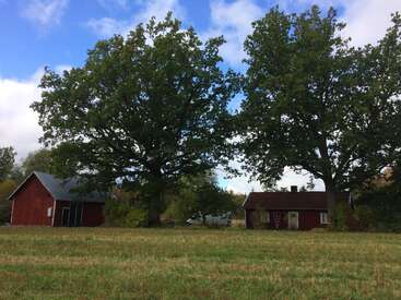 Two large trees stand in front of a small red cottage and a red barn. Green grass covers the field, and the sky is partly cloudy.