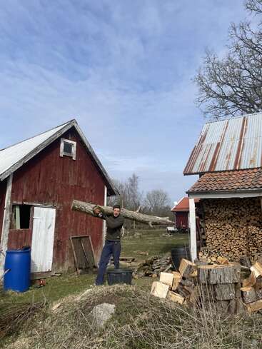 A man lifts a large log on his shoulders between rustic wooden barns. Firewood is stacked nearby, and the sky is clear with some clouds.