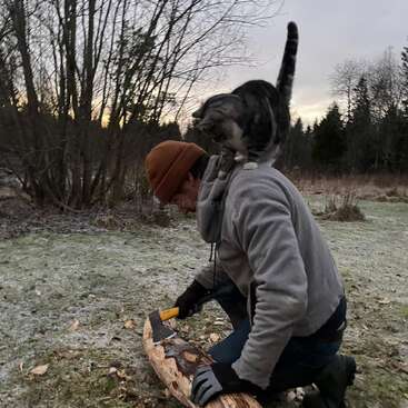A person kneels on frosty ground, chopping wood with an axe. A curious gray-striped cat balances on their shoulders, while trees fill the background at dusk.