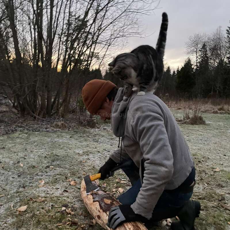 A person kneels on frosty ground, chopping wood with an axe. A curious gray-striped cat balances on their shoulders, while trees fill the background at dusk.