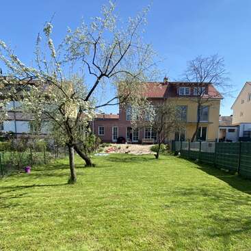 A sunny backyard with green grass, blooming trees, and a yellow house with a red roof. The yard is fenced, peaceful, and well-maintained.