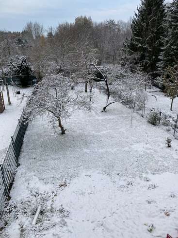 A peaceful backyard covered in fresh snow, with leafless trees, a metal fence on one side, and snowy footprints scattered across the icy, white ground.