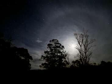 Um céu noturno escuro e sereno iluminado por uma lua brilhante atrás de árvores em silhueta. As estrelas estão espalhadas acima, criando uma cena natural pacífica e encantadora.