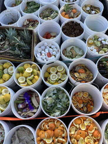 White buckets filled with various food scraps, fruit peels, vegetables, eggshells, and coffee grounds, organized neatly, likely intended for composting or organic waste recycling.
