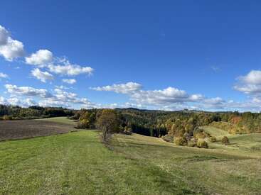 Un cielo azul brillante con esponjosas nubes blancas se extiende sobre ondulantes campos verdes, árboles dispersos, colinas distantes y un bosque de retazos que muestra indicios del otoño.