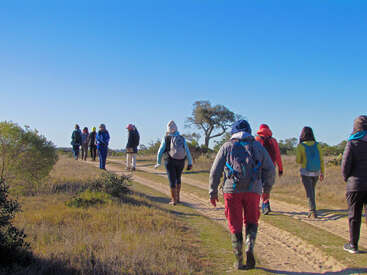 Eine Gruppe warm gekleideter Menschen wandert auf einem Feldweg in einer natürlichen, grasbewachsenen Landschaft unter einem klaren blauen Himmel und genießt die gemeinsame Erkundung der Natur.