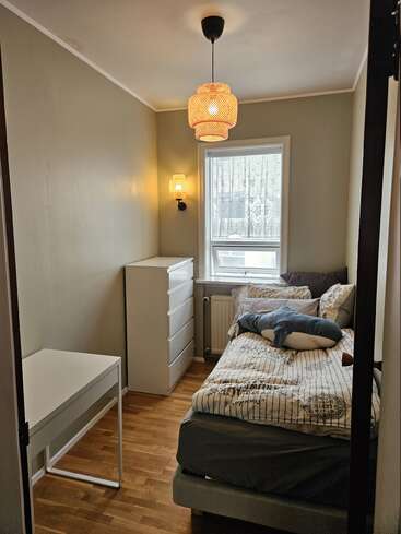 A small, cozy bedroom with light brown walls, wooden floor, a single bed, white dresser, desk, window, hanging lights, and a stuffed shark on the bed.