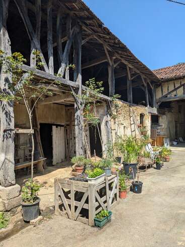 This image shows an old rustic barn with wooden beams, potted plants, and flowers arranged outside. The weathered building contrasts with the bright sunny day and blue sky.