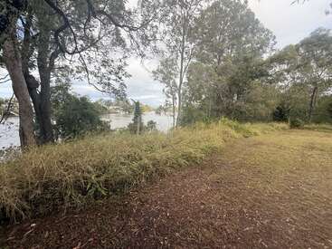 A peaceful riverside scene featuring tall trees, grassy patches, and a clear view of the calm water. Overcast sky gives a tranquil, natural atmosphere.