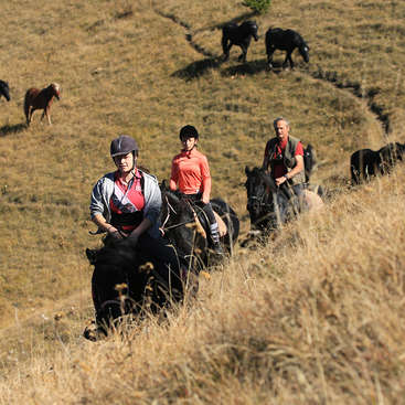 La imagen muestra a tres personas montando a caballo por un campo de hierba alta y seca, con varios caballos negros pastando al fondo en un día soleado.