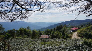 Eine ruhige Landschaft mit viel Grün, kleinen Häusern, einem gewundenen Feldweg, blauen Bergen in der Ferne und einem klaren Himmel, eingerahmt von kahlen Ästen im Vordergrund.