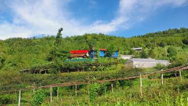 Eine lebendige Landschaftsszene mit bunten Häusern mit roten und blauen Dächern, üppiger grüner Vegetation, landwirtschaftlichen Gebäuden und einem klaren blauen Himmel mit vereinzelten weißen Wolken.