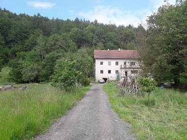 Un chemin de gravier mène à une grande maison blanche au toit rouge, entourée d'arbres verdoyants, d'herbe et d'un arrière-plan forestier sous un ciel bleu.