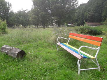 Un banc coloré peint en arc-en-ciel est posé sur un terrain herbeux à côté d'un tronc, entouré de fleurs sauvages et d'arbres sous un ciel nuageux dans un parc paisible.