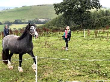 L'image représente une scène sereine d'une femme debout dans un champ, tenant les rênes d'un cheval, avec une autre personne et un arbre visibles à l'arrière-plan.