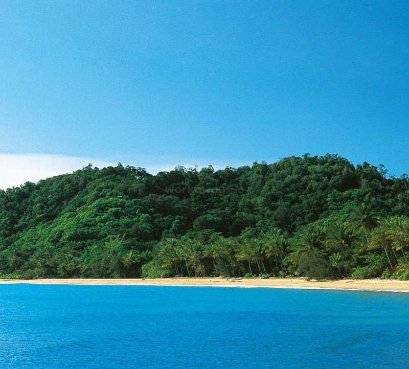 La imagen representa una serena escena de playa tropical, con una orilla arenosa, agua de un azul vibrante, exuberante vegetación y un cielo azul despejado con una nubosidad mínima.