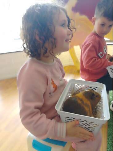 Una niña con el pelo rizado sostiene una cesta blanca que contiene una cobaya, mientras un niño con jersey rosa la observa en una habitación luminosa.