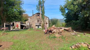 A person stands near a large fallen tree trunk in a grassy yard, surrounded by benches, with a rustic stone house and green trees in the background.