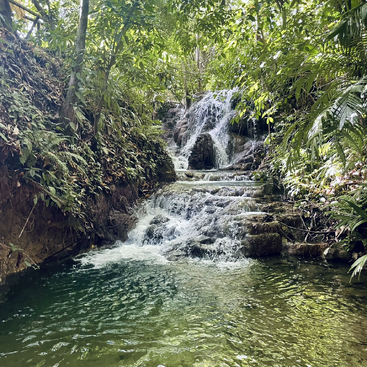 Das Bild zeigt einen ruhigen Wasserfall, der sich in einen ruhigen Pool ergießt, umgeben von üppigem Grün und Felsen, die eine malerische natürliche Umgebung schaffen.