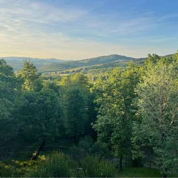 This image shows a serene landscape with lush green trees in the foreground, rolling hills in the background, and a clear, blue sky above. Peaceful scenery.