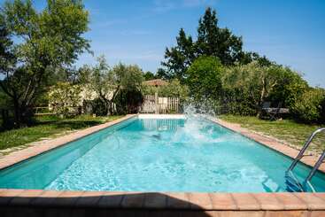 A bright, sunny day by a rectangular swimming pool surrounded by lush green trees and grass. Water splashes mid-pool suggesting someone has just jumped in.
