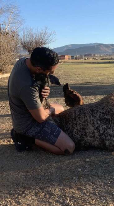 Um homem está sentado no chão, abraçando carinhosamente uma ema. Eles estão ao ar livre, com montanhas, árvores secas e edifícios visíveis ao fundo sob um céu azul.