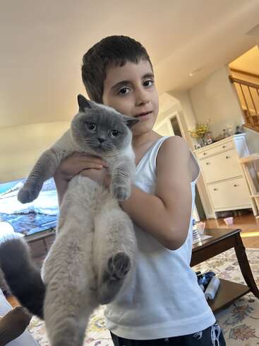 Ein kleiner Junge in einem weißen Tanktop hält behutsam eine flauschige graue Katze im Zimmer. Das gemütliche Wohnzimmer ist mit einem Wandteppich, Holzmöbeln und sanfter Beleuchtung ausgestattet.