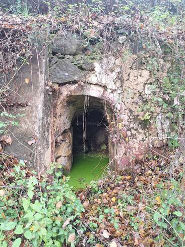 Uma antiga entrada de túnel de pedra coberta de musgo, parcialmente coberta de trepadeiras e cercada por vegetação densa. As algas verdes cobrem a água estagnada em seu interior, evocando mistério e abandono.