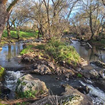 A peaceful creek winds through a rocky, wooded area. Sunlight filters through leafless trees, illuminating green grass and reflecting gently on the calm water.