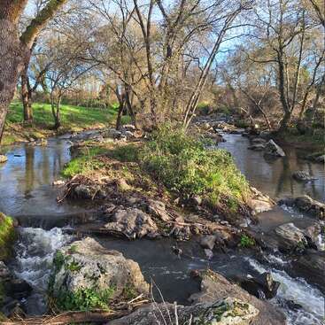 Un ruisseau paisible serpente à travers une zone rocheuse et boisée. La lumière du soleil filtre à travers les arbres sans feuilles, illuminant l'herbe verte et se reflétant doucement sur l'eau calme.