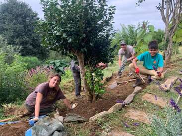 Vier Menschen arbeiten fröhlich zusammen in einem Garten, graben und ordnen Steine um einen Baum, umgeben von üppigem Grün und blühenden Blumen an einem bewölkten Tag.