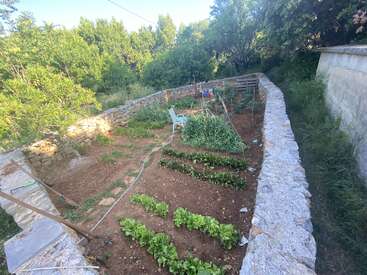 En esta imagen se ve un pequeño huerto vallado con hileras de verduras de hoja verde, una silla de jardín blanca, muros de piedra, algunas herramientas y frondosos árboles que rodean la zona.