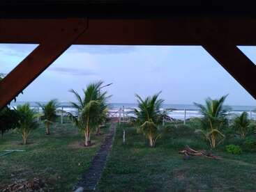 Esta imagen muestra una serena escena de playa vista desde debajo de una estructura de madera, con palmeras jóvenes, un patio cubierto de hierba, un camino, vallas y suaves olas del océano.