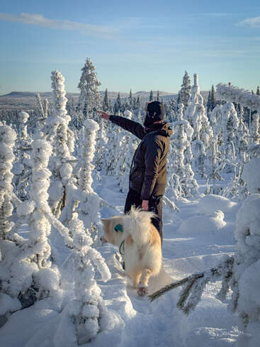 A person wearing winter clothes stands in a snowy forest, pointing ahead. A fluffy dog is beside them, surrounded by frost-covered trees under clear blue sky.