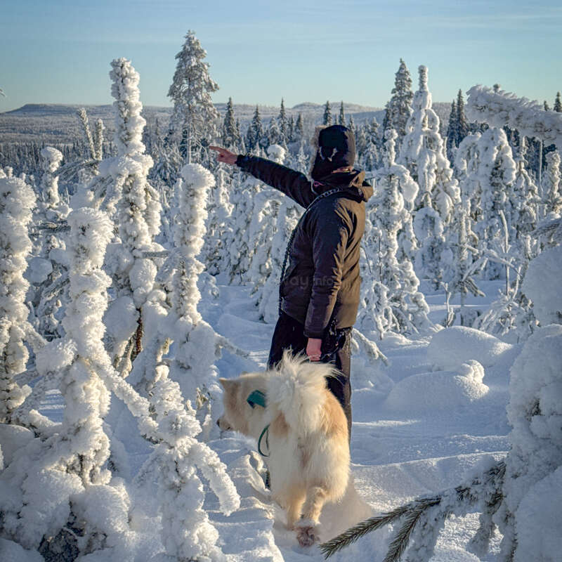 Uma pessoa vestida com roupas de inverno está em uma floresta coberta de neve, apontando para a frente. Ao lado dela está um cachorro fofinho, cercado por árvores cobertas de gelo sob um céu azul claro.