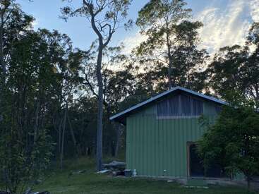 Un cobertizo verde se alza en la linde de un bosque, rodeado de altos árboles y exuberante vegetación, bajo un cielo con tenues nubes al atardecer.