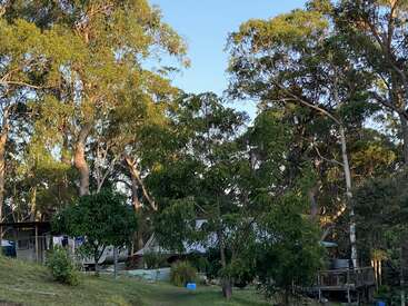 Una apacible escena rural muestra una casa enclavada entre altos árboles verdes, con la luz del sol filtrándose. El patio es frondoso, con plantas dispersas y zonas de sombra.
