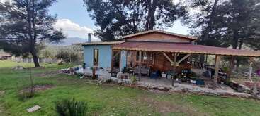 Una acogedora casa con porche de madera se alza entre altos árboles, rodeada de hierba verde, plantas en macetas y montañas lejanas bajo un cielo parcialmente nublado.