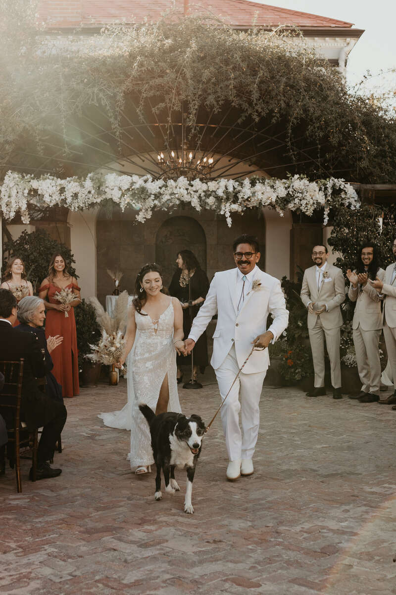 Housepet sitting in Wrightwood California, USA