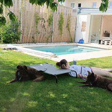 Uma pessoa está relaxando na grama verde ao lado de dois cachorros marrons e uma cama elevada para animais de estimação, com uma piscina e uma casa moderna ao fundo, num dia ensolarado.
