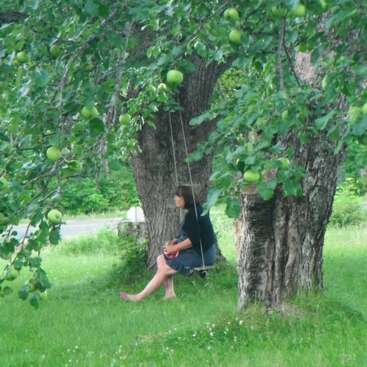 Eine Frau sitzt auf einer Schaukel, die an einem Apfelbaum hängt, umgeben von saftig grünem Gras und Bäumen, in einer ruhigen und friedlichen Atmosphäre.