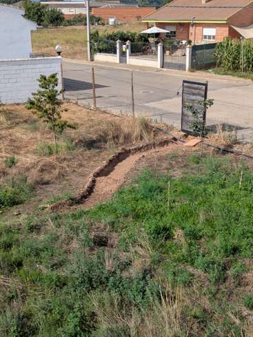 Ein Feldweg schlängelt sich durch einen grasbewachsenen Hof mit jungen Bäumen und führt zu einer Straße. Auf der anderen Seite der Straße ist ein Haus mit einer Terrasse zu sehen.