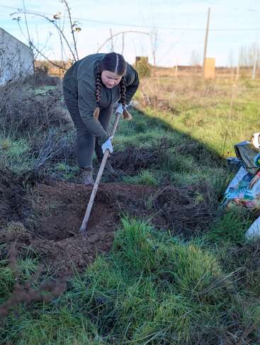Eine Frau mit geflochtenen Haaren gräbt mit einer Schaufel ein Loch in einer Wiese im Freien. Sie trägt Handschuhe und legere Outdoor-Kleidung. Gartengeräte in der Nähe.